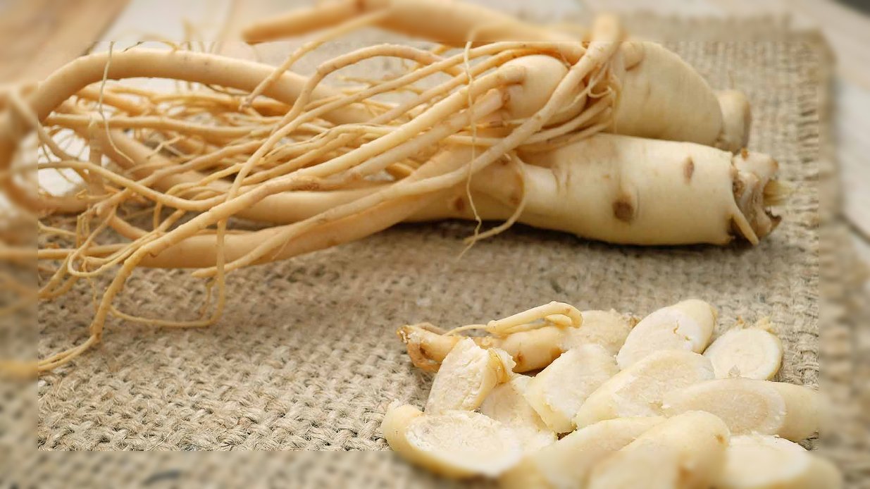 ginseng remedios plantas medicinales