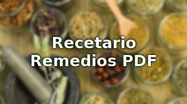 recetario remedios pdf